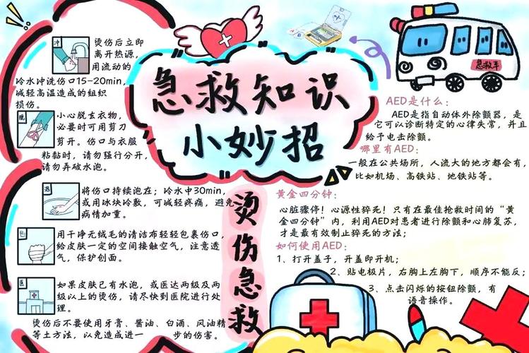 打开的户外急救小包内容物展示图