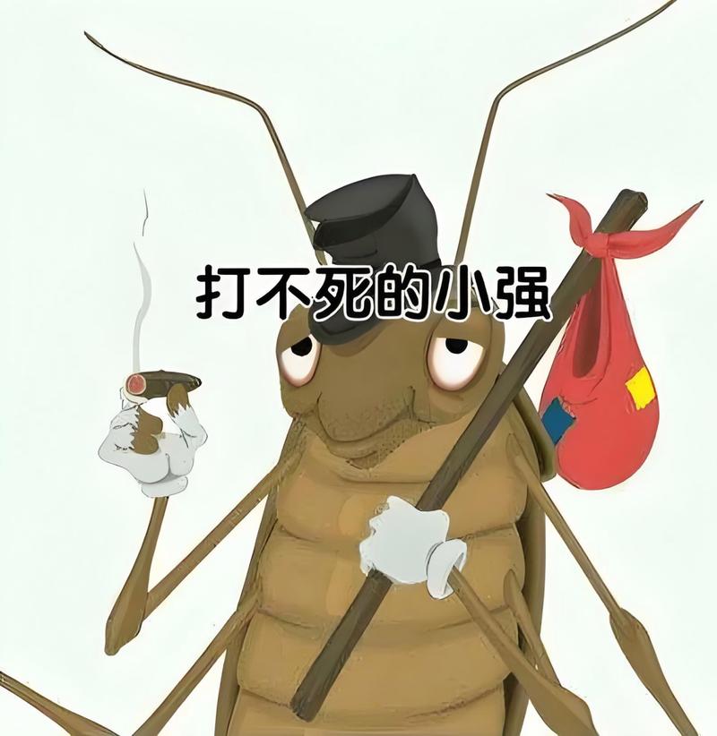 那些打不死的小强案例