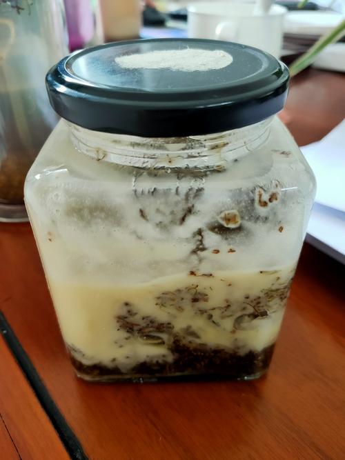 密封不严的玻璃罐内受潮发暗结块的干桂花