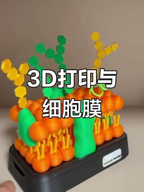 细胞膜流动镶嵌模型三维结构图