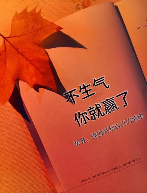 把赔付逻辑拆透，就不会乱发脾气了