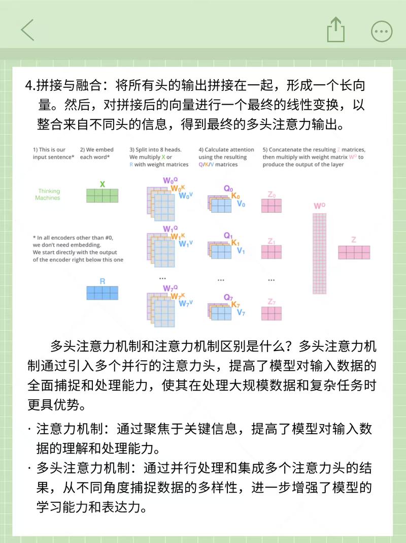 多头注意力各层头数配置对比图