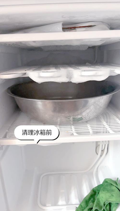 家用冰箱冷冻层放毛绒猫窝除螨实拍