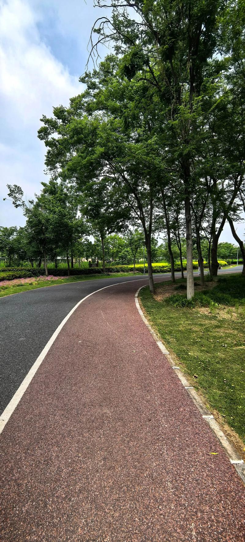 把绿道当成你城市里的一块自留地
