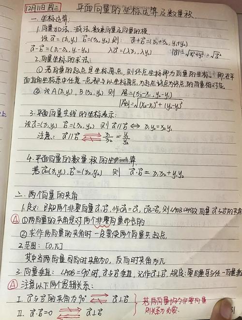 高中生数学草稿纸上写满向量坐标计算过程