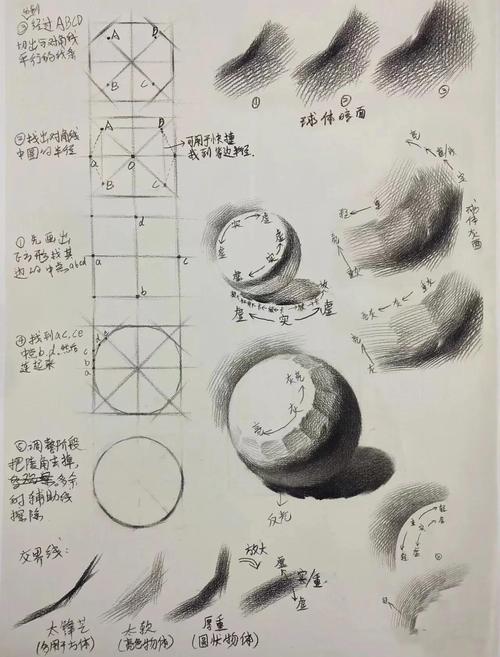 球体素描五大调子分析图