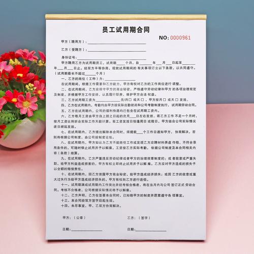 劳动者试用期劳动合同纠纷咨询实拍