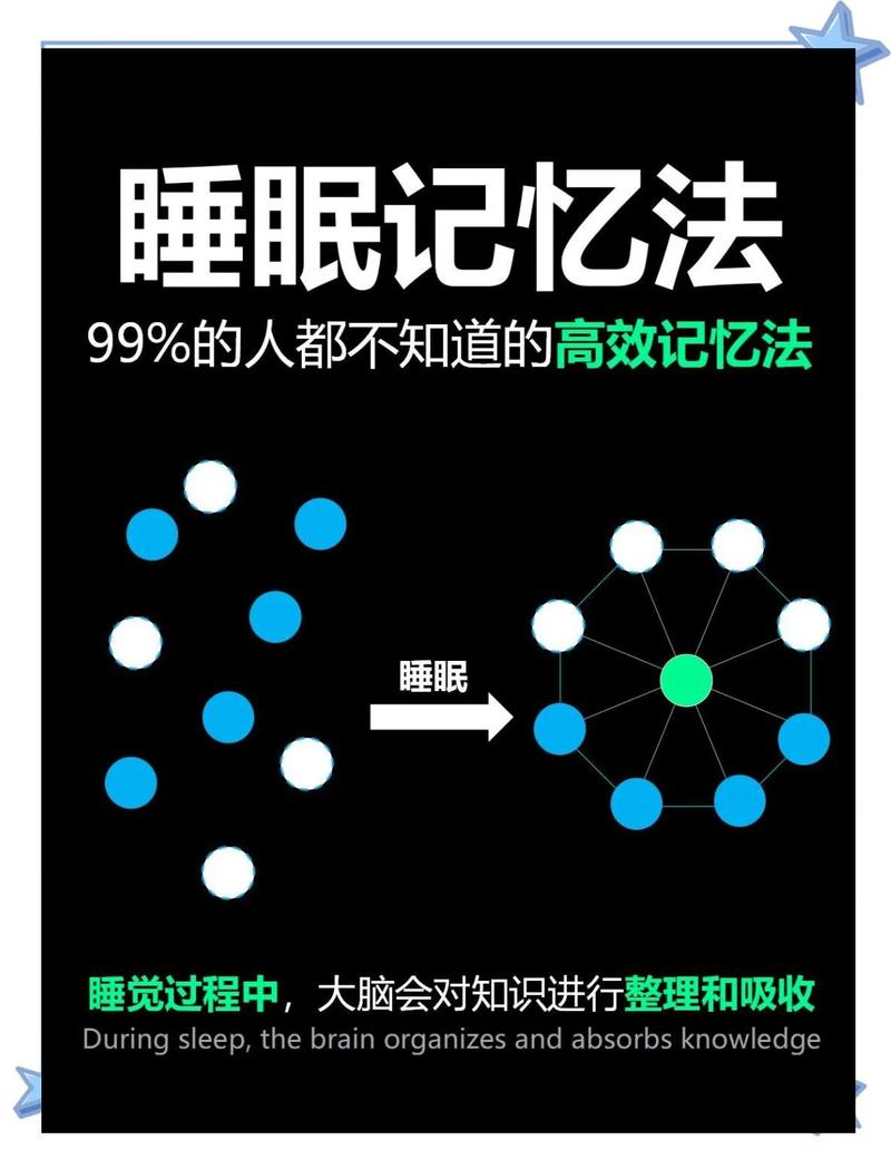 睡眠和运动,才是记忆的“深夜食堂”