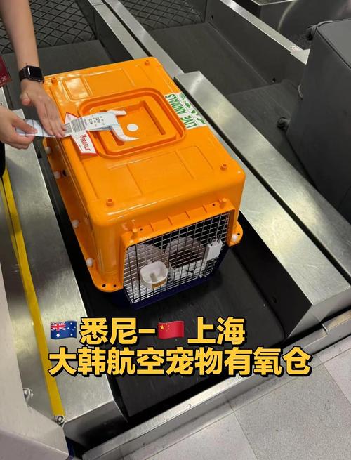 宠物航空托运有氧舱货舱标识实拍