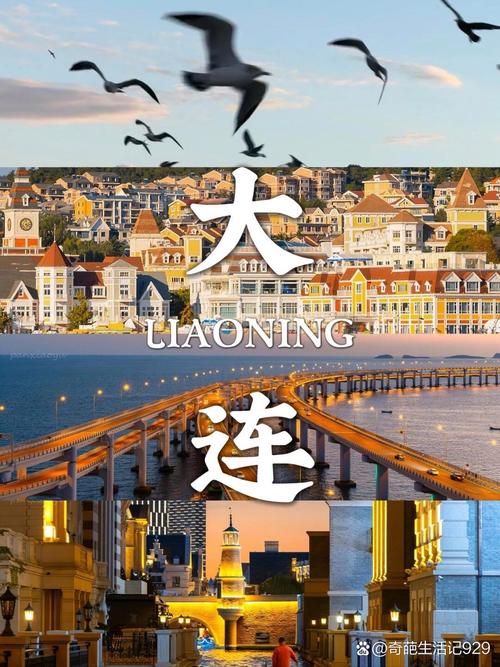 结论:大连性价比的真相