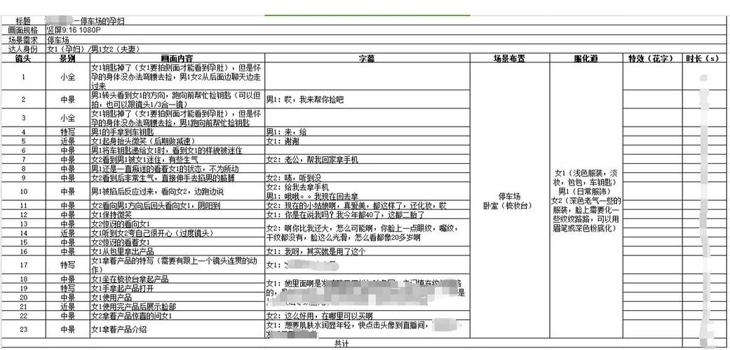 广告创意脚本真实性核查签字记录表