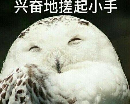 还有几个让我兴奋到搓手的进展