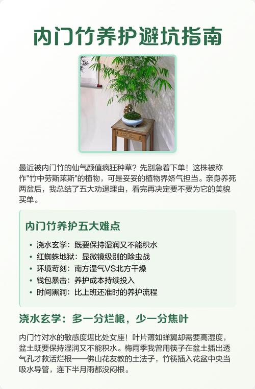 养护竹筷，我踩过的坑