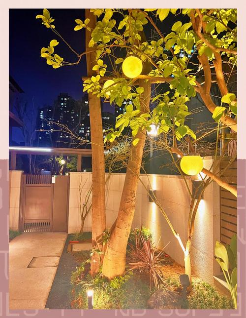 一楼小院户外灯具安装完工实景