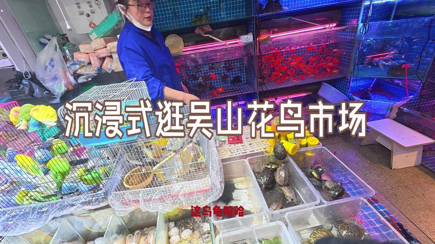 吴山花鸟市场盆景摊位和定胜糕