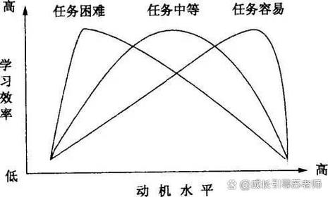 教育的“第二曲线”,天使在赌什么?