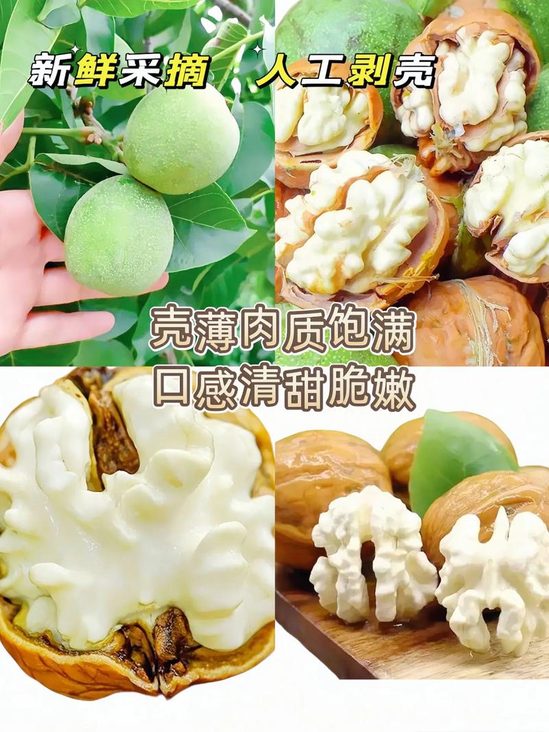 手工剥新鲜核桃青皮