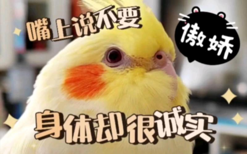 大家嘴上不说，身体却很诚实