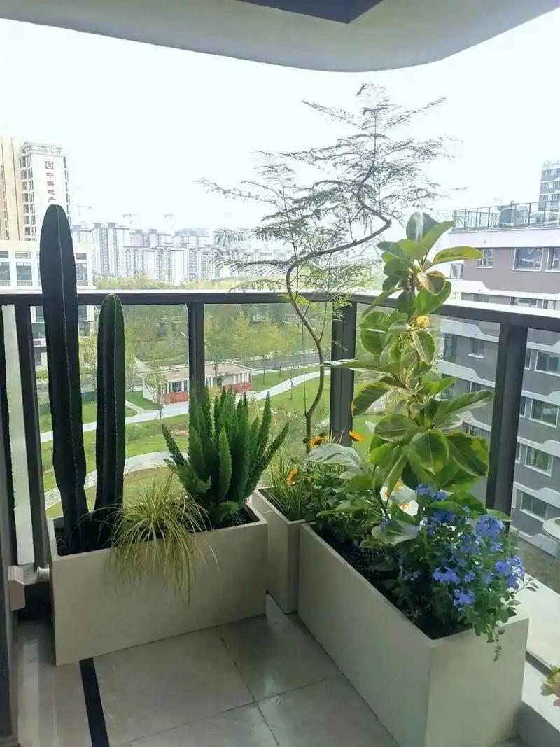 室内窗边开花盆栽光照位置摆放指南