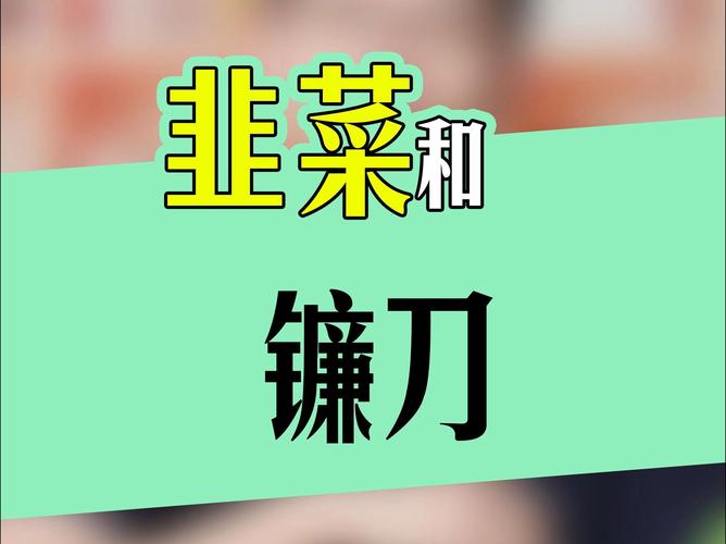 转卖市场：韭菜与镰刀