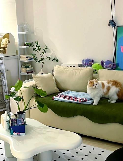 家庭客厅养猫玩具丰容布置实拍