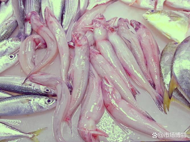 生鲜市场新鲜冰鲜鱼鱼眼对比实拍