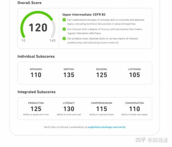Duolingo英语测试考试流程界面示意图