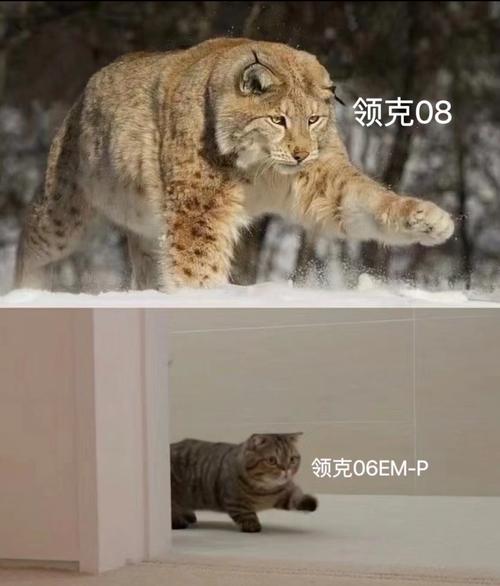 表情包搞笑文字添加对比示例