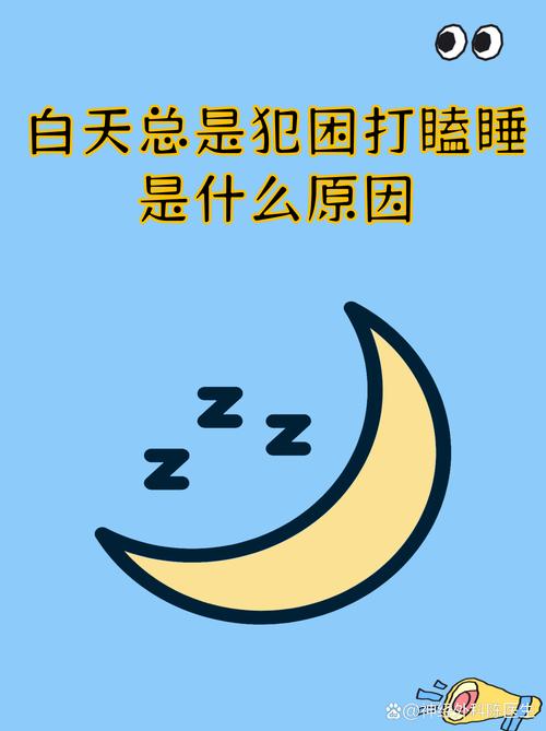 白天的小习惯,才是作息稳定的核心