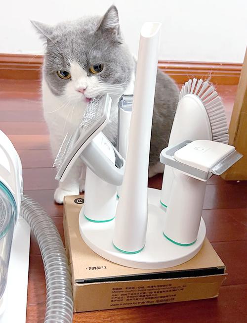 家用吸料机清理猫毛和头发