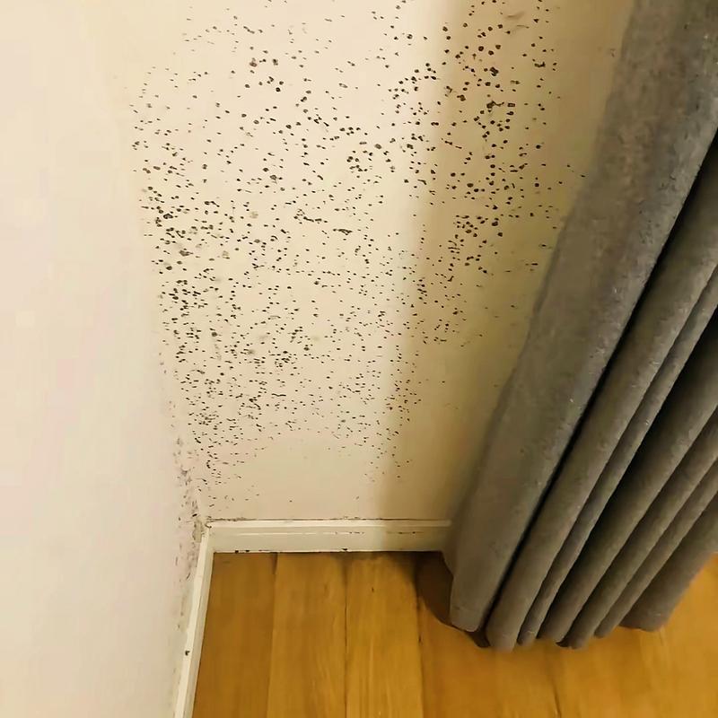 材料与防潮篇:看不见的地方最致命