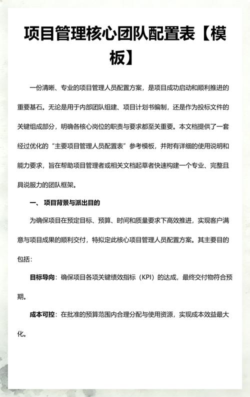 核心专业团队配置