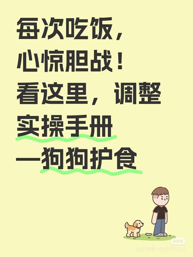 零冲突的护食训练,在家每天五分钟就能做