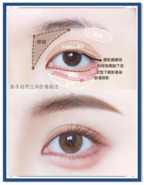 新手三段式消肿眼妆范围示意图
