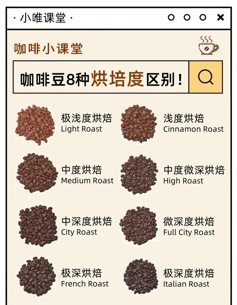 不同烘焙程度咖啡豆对比图