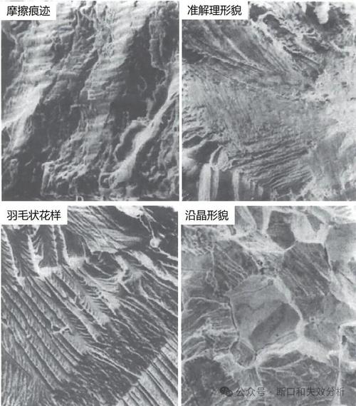 铆接结构疲劳断口扫描电镜台阶形貌