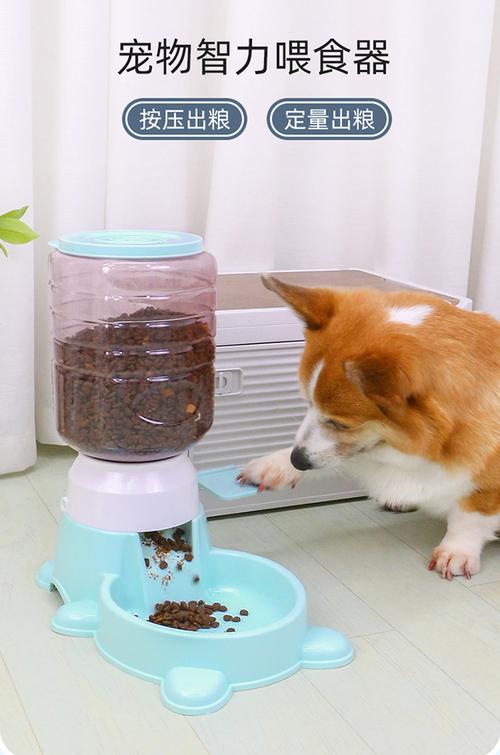 柯基扒狗狗自动喂食器出粮口实拍