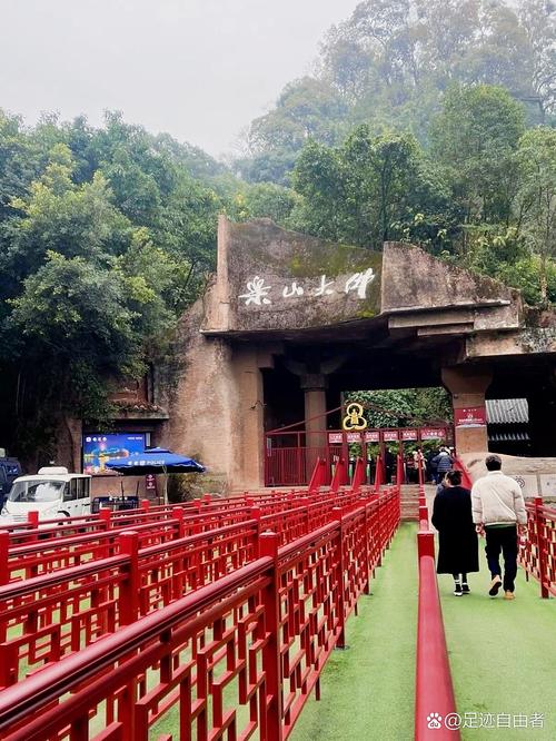 乐山大佛东门楠木林遮阴步道