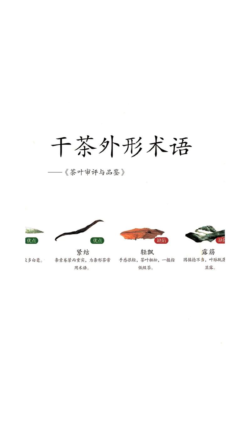 别被包装唬住，干茶的品相才是第一关