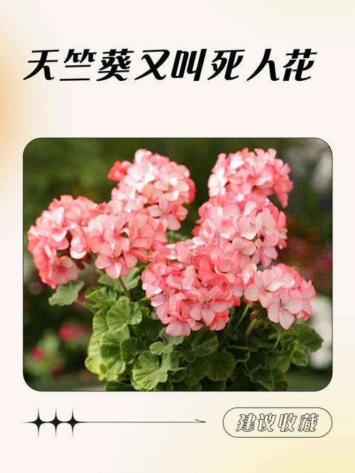 4. 这些花活儿，中看不中用