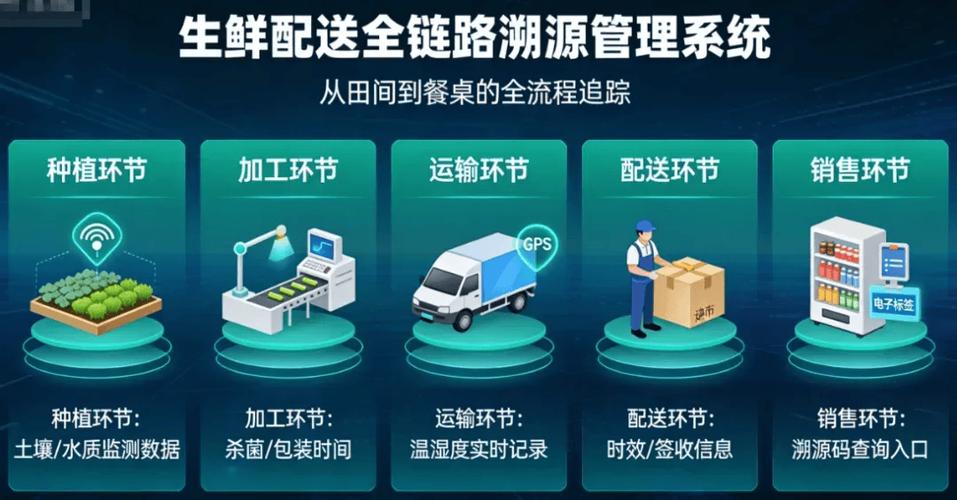 公开信息溯源链条核对步骤示意图