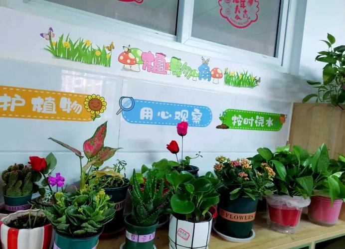 小学班级种植角学生记录劳动过程的展示墙
