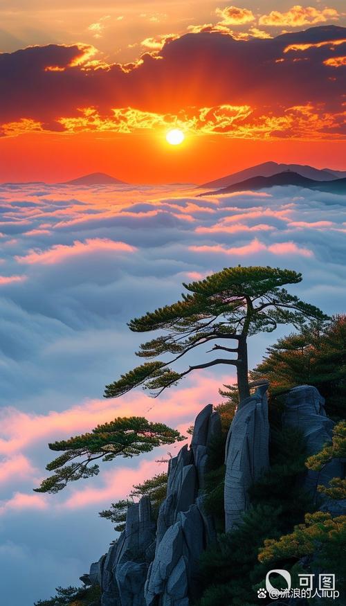 黄山迎客松云海日出景观图