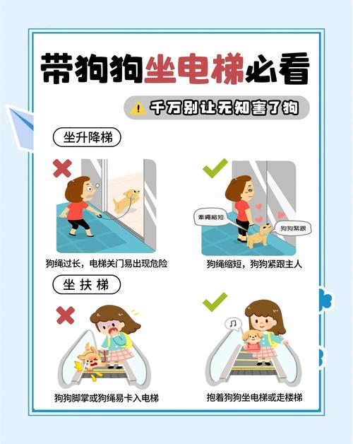 居民小区电梯内牵绳规范养犬示意图
