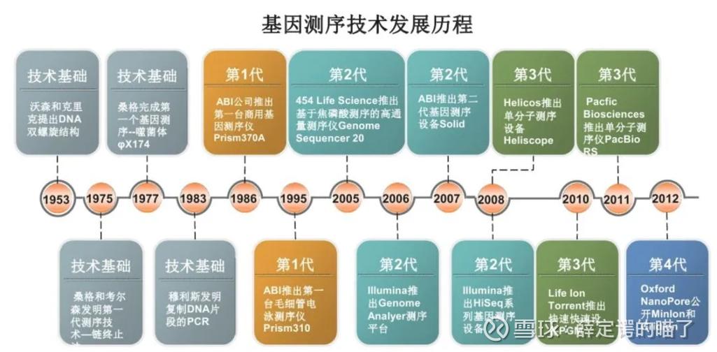 人类基因组与工业产品基因对比图