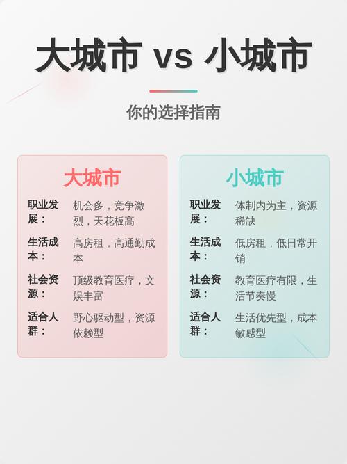 大城市与小城市大学选择对比