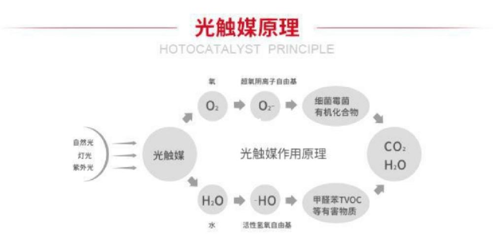 抗甲醛乳胶漆净化原理微观示意图