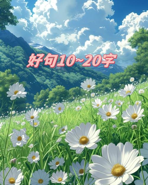 好图的标准，其实就一句话