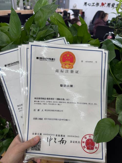 国内个体工商户商标注册证书样本