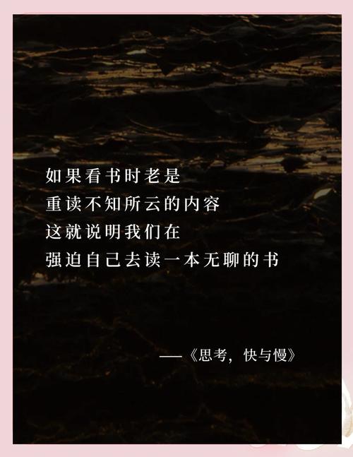 结论:慢下来,世界会向你展开